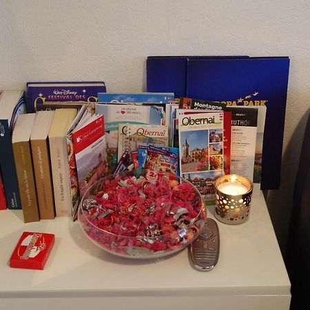 Appartement Nid douillet à OBERNAI Extérieur photo